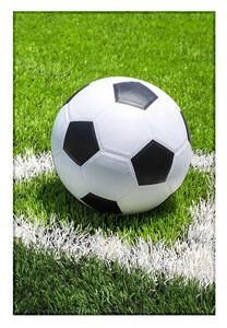 Pătură fleece cu motiv Fotbal - 100 x 150 cm
