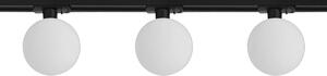 Light Prestige Bola set de iluminat pe șină cu reflectoare 3x5 W negru LP0031RSET