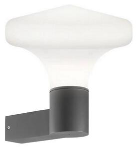 Ideal Lux - Aplică de perete pentru exterior CLIO 1xE27/42W/230V IP44 antracit