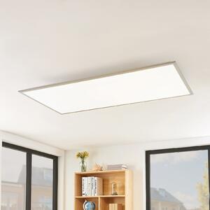 Lindby Panou LED Stenley, 4.000K, 120cm x 60cm, argintiu/alb, Alb, Bucătărie, Plastic, Modern