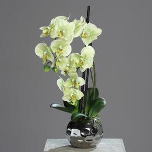 Orhidee artificiala verde-crem in ghiveci - 50 cm