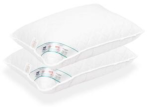 Set lemn masiv 2 Perne Hipoalergenice Matlasate cu Microfibra 60x60 cm