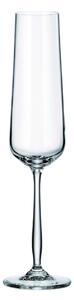 Set 4 pahare sampanie 215ml, Gourmet