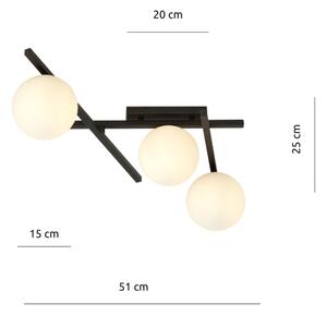 Plafonieră SMART 3xE14/10W/230V negru/alb