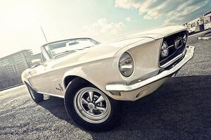 Ilustrație 1968 Ford mustang convertible, Dennis Gerbeckx