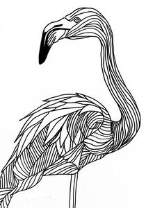 Ilustrație Lines art Flamingo, Justyna Jaszke