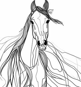 Ilustrație Line Horse, Justyna Jaszke