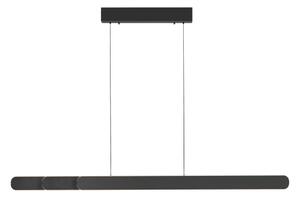 Schöner Wohnen 12577-18 - Lustră LED dimabilă pe cablu ADRIANA, 2xLED/24W/230V, negru
