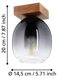 Plafonieră FILAGO Eglo 900825 1xE27/40W/230V