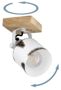 Spot KILBURN Eglo 43921 1xE27/40W/230V