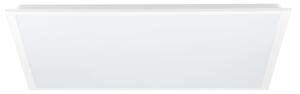 Eglo 900938 - Panou LED aplicat RABASSA, 33W, 230V, 62x62 cm