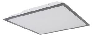 Globo 416080D2 - Plafonieră LED DORO LED/24W/230V