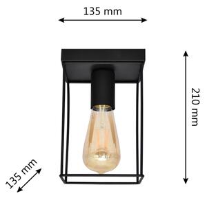 Plafonieră FINN 1xE27/15W/230V negru