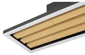 Brilliant - Plafonieră LED dimabilă CALMA LED/15W/230V, neagră