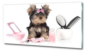 Tablou din Sticlă cosmetice Yorkshire