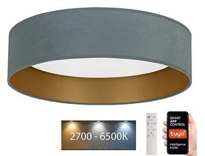 Plafonieră LED dimabilă Brilagi VELVET SMART LED/24W/230V Wi-Fi Tuya + telecomandă