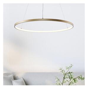 Lustră LED pe cablu Zuma Line 2023201-GD80 BRENO LED/36W/230V 3000/4000/6000K