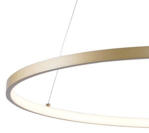 Lustră LED pe cablu Zuma Line 2023201-GD80 BRENO LED/36W/230V 3000/4000/6000K