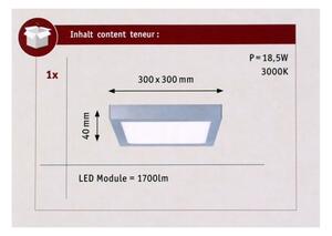 Paulmann 70650 - LED/17W Plafonieră LUNAR 230V