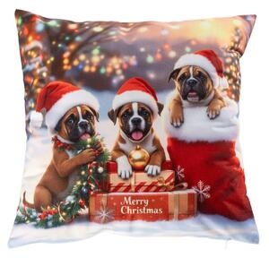 Față de pernuță BOXER CU CĂCIULĂ 40 x 40 cm