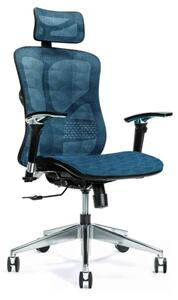 Scaun lemn masiv de birou ErgoFlex - Albastru