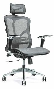 Scaun lemn masiv de birou ErgoFlex - Gri