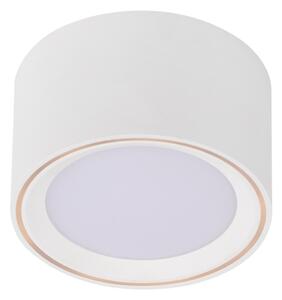 Nordlux - Spot LED dimabil FALLON LED/5,5W/230V alb