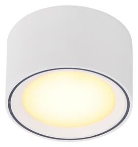Nordlux - Spot LED dimabil FALLON LED/5,5W/230V alb