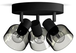 Spot Philips SLEET 3xE14/25W/230V