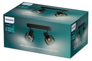 Spot Philips SLEET 2xE14/25W/230V