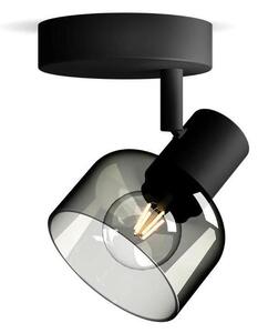 Spot Philips SLEET 1xE14/25W/230V