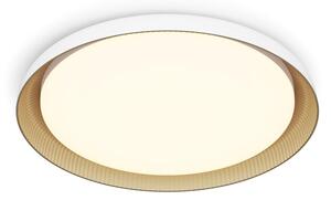 Plafonieră LED dimabilă Philips PEBBLO LED/10W/230V 2700K alb