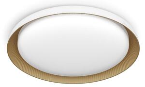 Plafonieră LED dimabilă Philips PEBBLO LED/10W/230V 4000K alb