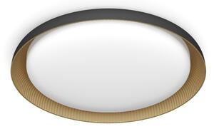 Plafonieră LED dimabilă Philips PEBBLO LED/10W/230V 2700K negru