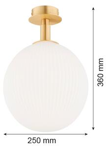 Plafonieră Argon 8505 PALOMA 1xE27/15W/230V auriu/alb