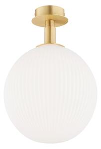 Plafonieră Argon 8505 PALOMA 1xE27/15W/230V auriu/alb