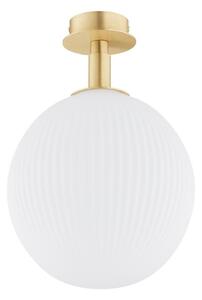 Plafonieră Argon 8505 PALOMA 1xE27/15W/230V auriu/alb