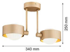 Lustră pe tijă pentru baie Argon 7215 MASSIMO PLUS 2xG9/6W/230V IP44 auriu