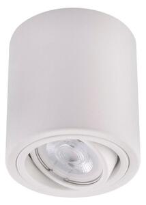 Spot TUBA 1xGU10/50W/230V Ledvance