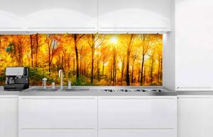Fototapet pentru bucătărie - pădure însorită 180 x 60 cm