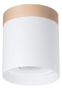 Spot Sollux SL.1348 RIF 1xGU10/10W/230V alb