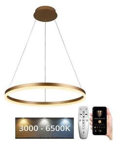 Brilagi - Lustră LED dimabilă suspendată pe cablu CIRCLE, 42W/230V, 3000-6500K + telecomandă