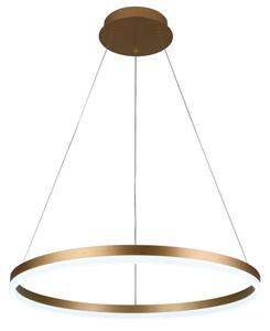 Brilagi - Lustră LED dimabilă suspendată pe cablu CIRCLE, 42W/230V, 3000-6500K + telecomandă