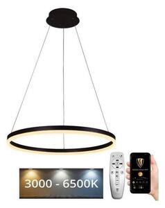 Brilagi - Lustră LED reglabilă suspendată pe cablu CIRCLE LED/42W/230V 3000-6500K + telecomandă