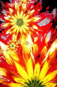 Covor Kolibri 11012-150 Multicolor Flori Selectează mărime: 200 X 300