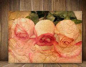 Tablou canvas : Trei trandafiri vintage