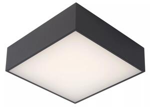 Plafonieră LED pentru baie Lucide 27816/10/29 ROXANE LED/12W/230V IP54