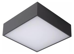 Plafonieră LED pentru baie Lucide 27816/10/29 ROXANE LED/12W/230V IP54