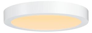 Plafonieră LED/19W Paulmann 79799 CARPO 230V 2300/2500/3000K
