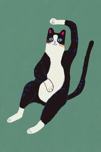 Ilustrație Black and white cat, Little Dean, (26.7 x 40 cm)